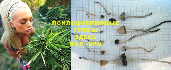 а пвп мука Лагань