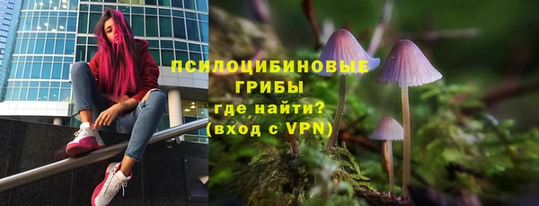 ПСИЛОЦИБИНОВЫЕ ГРИБЫ Лиски