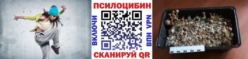 Галлюциногенные грибы мухоморы  кракен   Симферополь 