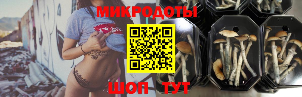 Псилоцибиновые грибы Magic Shrooms Симферополь